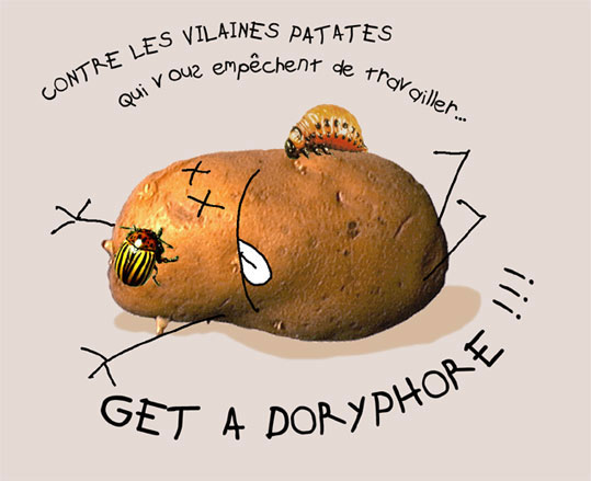 Potatoes war by PrincessH